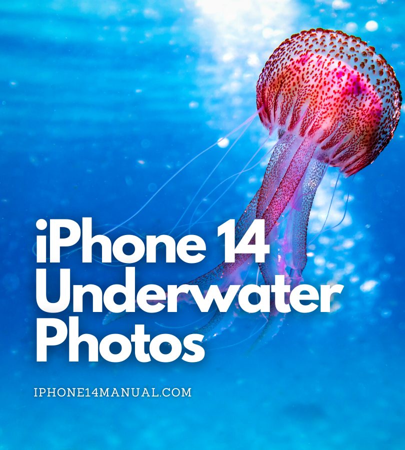 iphone 14 underwater photos